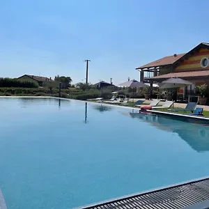  Vakantieboerderij Almavite Wine With Pool - Happy Italië